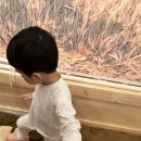 어린이 체험전 「가루 나무 모래 흙」 이미지