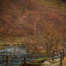 섬진강캠핑장 이미지