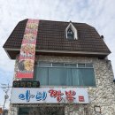 아리짬뽕 | 포천 중국집 맛집 추천 아리짬뽕 내돈내산 후기 | 주차·포장·해산물 짬뽕·간짜장·탕수육