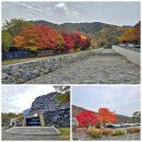 꽃보다프리마켓협동조합 | 보령프리마켓 가치놀장, 충남 보령 여행을 보령시농촌신활력플러스사업 로컬 행사로