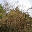 봉화산농장 이미지