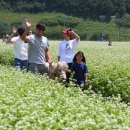 렛츠런파크 제주 이미지