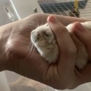 투디픽스 이미지