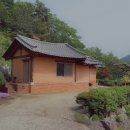 황토애