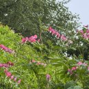 해주김밥이랑국수 이미지