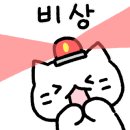 풍물옹심이 메밀칼국수 이미지