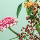 신대륙 부동산중개 이미지