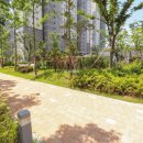 동문굿모닝힐맘시티 1단지 이미지