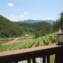 동강캐슬 이미지