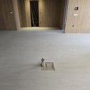 스톤루트
