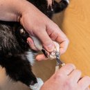 테크노연합 동물병원 이미지