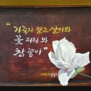 🆙️🈶️ 놀면 뭐하니? 🆖️🈚️ 이미지