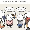 라인 켈리