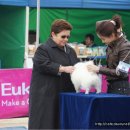 발안바이오고등학교 이미지