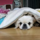 김봉구농장 이미지