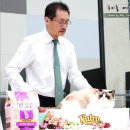 캣돌 캐터리 이미지