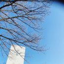 강남한방공인중개사사무소 이미지