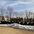 두준 목장 이미지