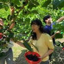 충도4리 이미지