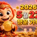 재주많은원숭이