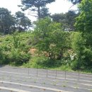 해오름노인전문요양원 이미지