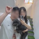 파파스 그라운드 이미지