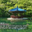 내장산식당 이미지