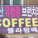 벨라망떼 이미지