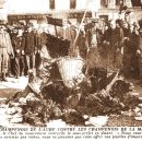 [단일과정] 와인소믈리에 | 김민주의 와인 인사이트 vol. 9┃샴페인의 경계를 확장하는 코트 데 바르