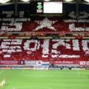 꿈이있는 이미지