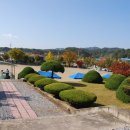 명지초등학교 이미지