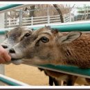 큰집농장 이미지