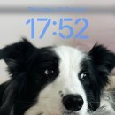 대신스마일치과의원 이미지