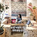 모산조형미술관 | 충남 보령 가볼 만한 곳 개화예술공원 리리스카페 모산미술관 식물원