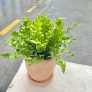 우기상회 이미지
