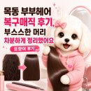 매직헤어라인 | [목동] 부부헤어 복구매직 후기, 부스스한 머리 차분하게 정리했어요