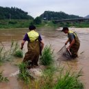 월학초등학교 이미지