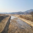 구룡천제방 티스토리