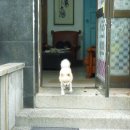 천사건강원 - 신안군 월포안길 51 | 천사건강원