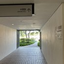 라카이샌드파인리조트 | 라카이샌드파인 리조트 체크인 후기: 번호표 9시 입실시간 / 부대시설 둘러보기 강릉호텔