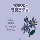 오늘의 날씨 (3월 12일 수요일) D-2 이미지