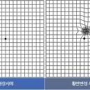 글라스월드 이미지