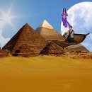 알라딘샵 이미지