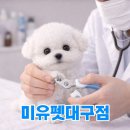 미유펫 강아지애견미용 이미지