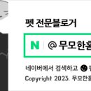 셀세모 영종국제도시점 이미지