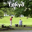 은사 | 도쿄 가볼만한곳 하마리큐 은사정원 후기 가족 커플 추천