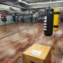 코리안 복싱클럽 이미지