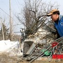 월호농장 이미지