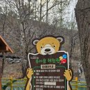 대흥동 유아숲체험원 이미지