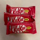 홈플러스㈜ | 코스트코 킷캣 오리지널 미니 초콜릿 세일(~10/26) 내돈내산 솔직후기